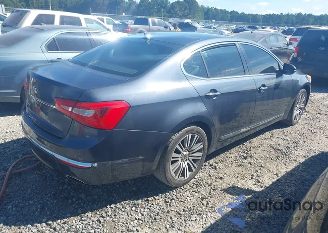 KNALN4D75E5161707: 43213792