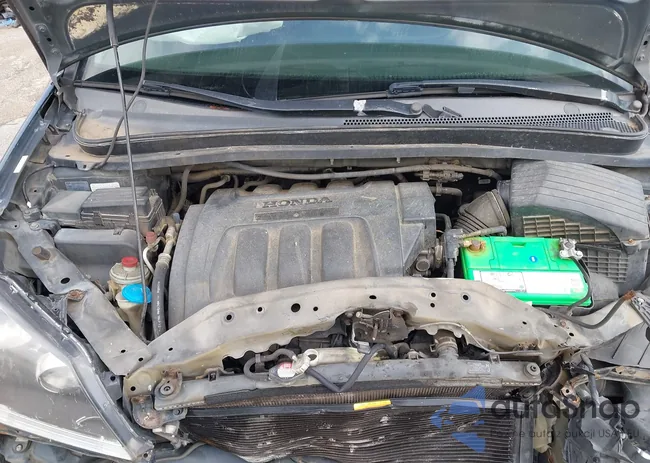 5FNRL38226B037194: 43215068