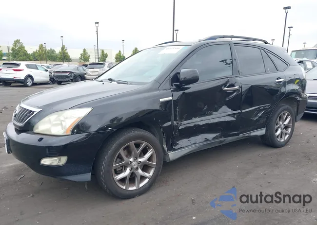 2T2GK31U99C061356: 43215346