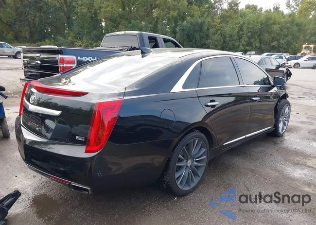 2G61T5S31F9293067: 43216066