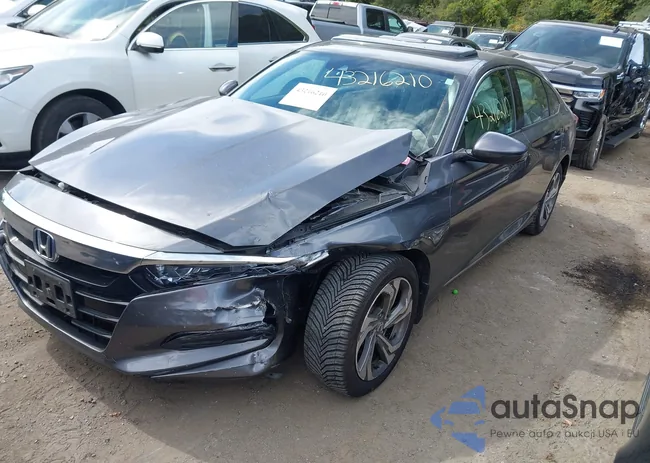 1HGCV1F54JA080519: 43216210