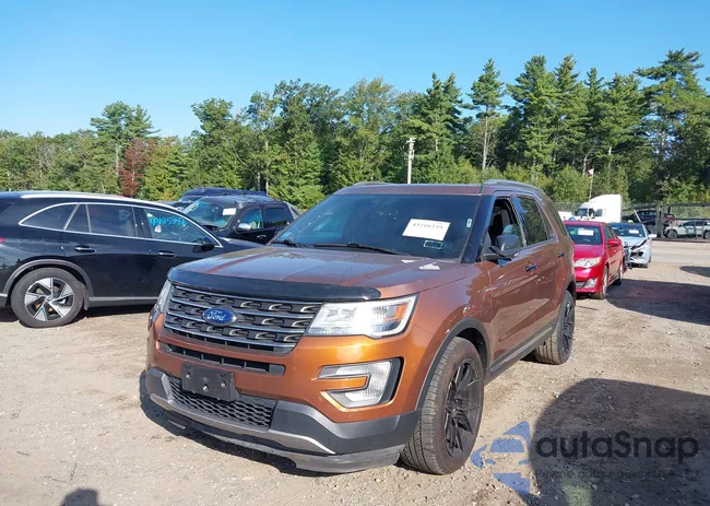 1FM5K8D82HGD33040: 43216259