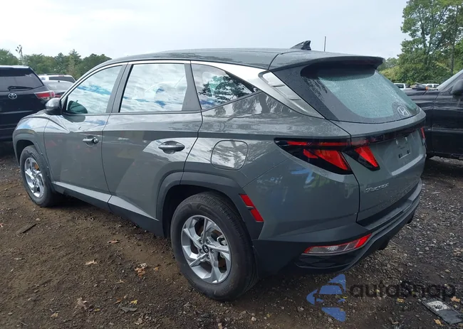 5NMJACDEXRH343095: 43217262