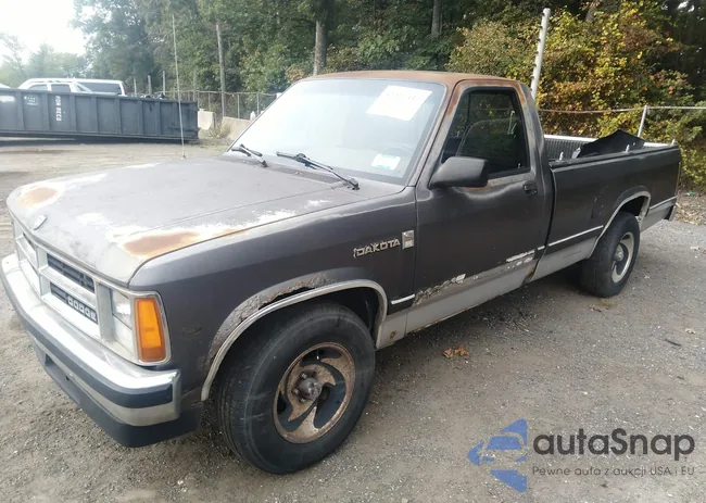 1B7GL26X9KS046486: 43217337