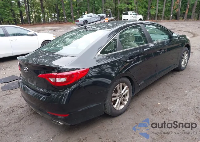 5NPE24AF2HH536019: 43217365