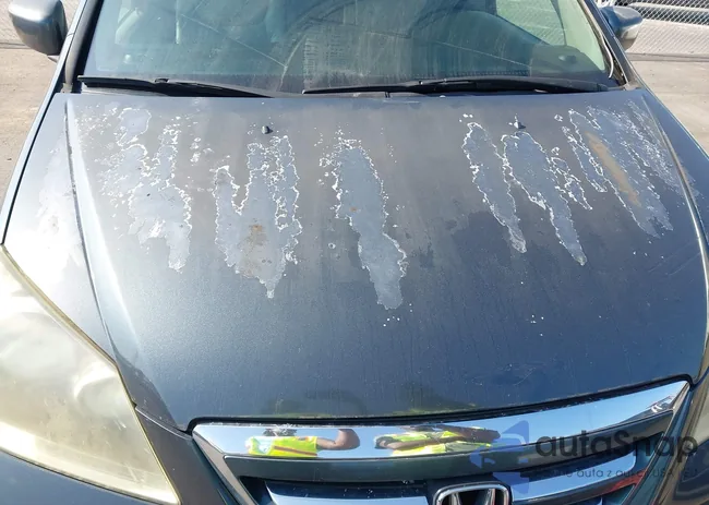 5FNRL38615B043649: 43217385