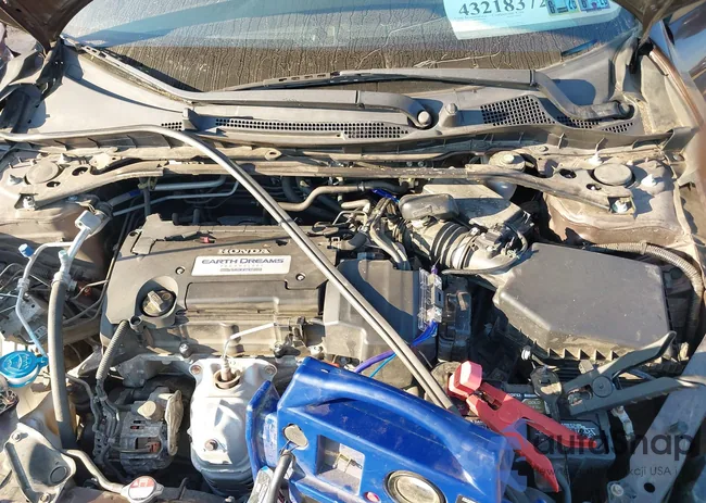 1HGCT1B31DA016565: 43218372