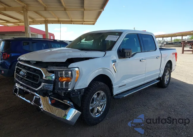 1FTFW1ED7NFB06461: 43218438