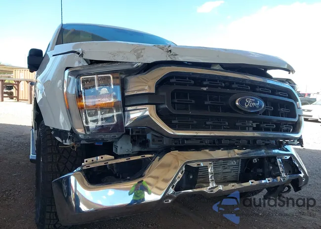 1FTFW1ED7NFB06461: 43218438