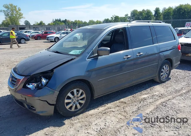 5FNRL3H78AB057146: 43217528