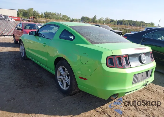 1ZVBP8AM0E5274293: 43217707