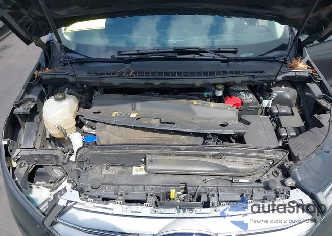 2FMPK3G96JBB63519: 43217726