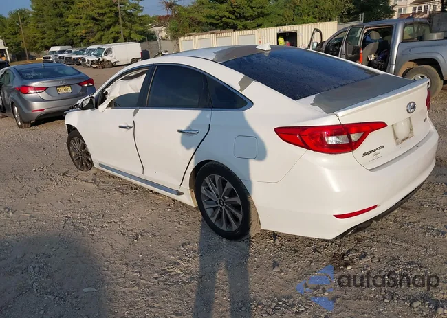 5NPE34AFXHH509311: 43217819