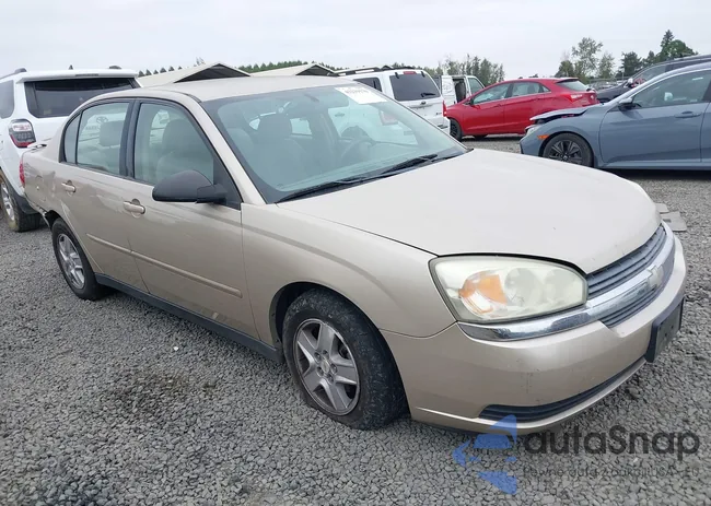 1G1ZT52815F116187: 43219170