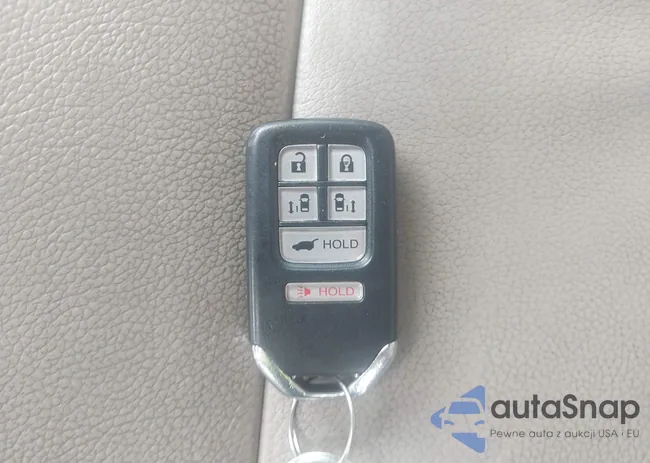 5FNRL5H62FB048081: 43219216