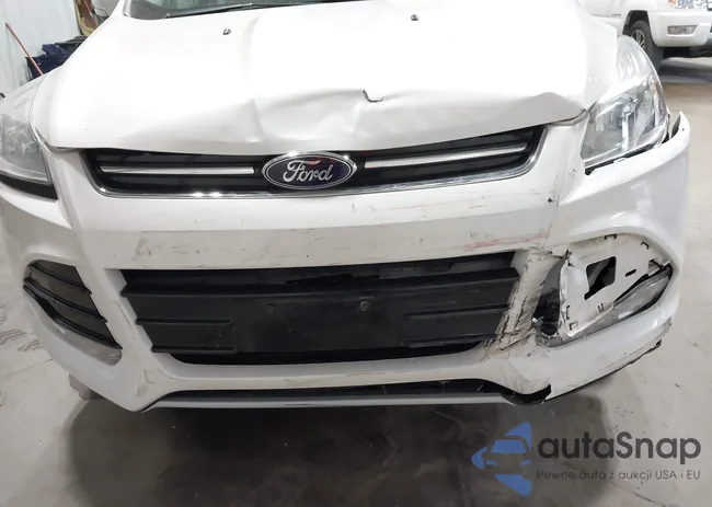 1FMCU9JX9FUB12732: 43219234