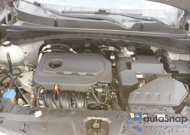 KNDPMCAC5K7539415: 43219488