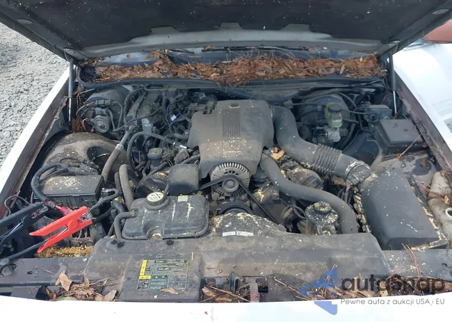 2MEFM74W93X682421: 43219498