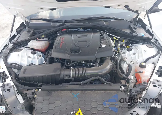 ZARFANBN7N7661669: 43219909