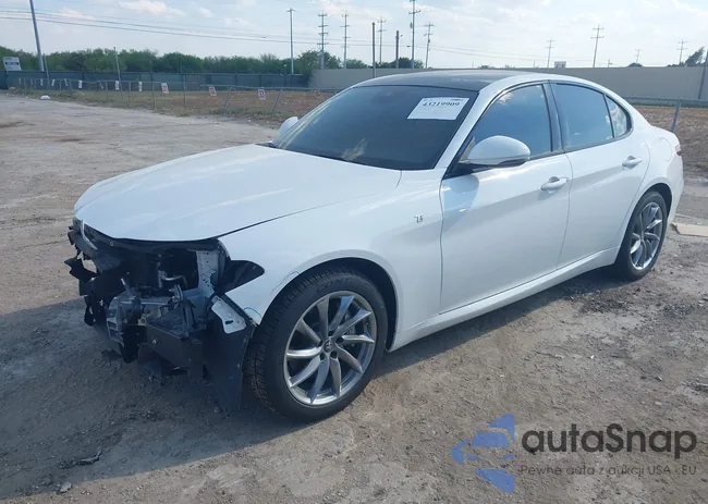 ZARFANBN7N7661669: 43219909