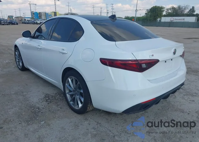 ZARFANBN7N7661669: 43219909