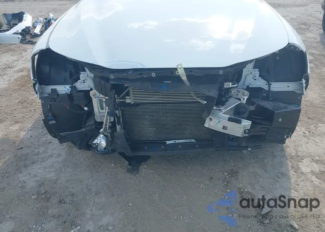 ZARFANBN7N7661669: 43219909