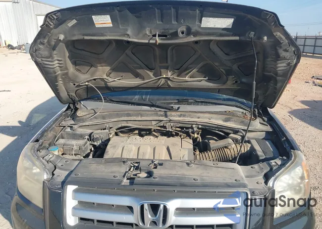 5FNYF28508B028424: 43219532