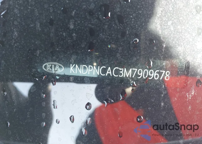 KNDPNCAC3M7909678: 43219705