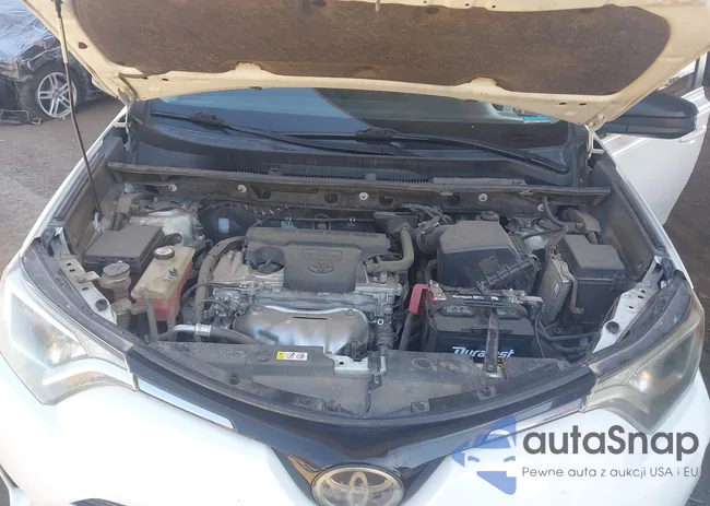 JTMZFREV1JJ746001: 43221399