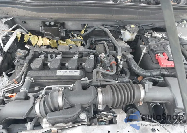 1HGCV1F30KA164627: 43222214