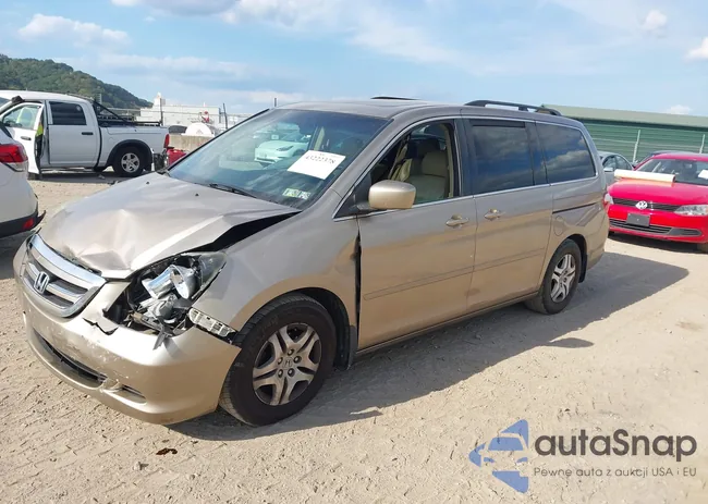 5FNRL387X7B137895: 43222378