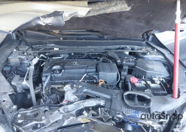 19UUB1F36HA009828: 43222550