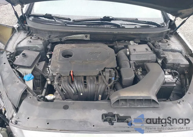 5NPE24AF2KH765467: 43223898