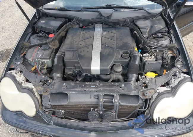 WDBRH64J23F307210: 43223835