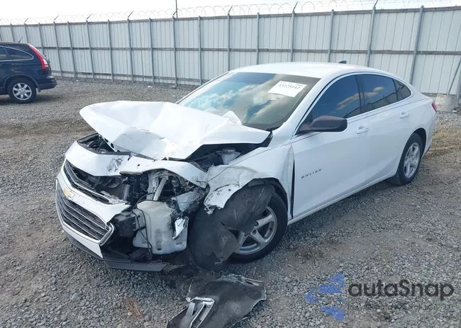 1G1ZB5ST0GF181977: 43225142