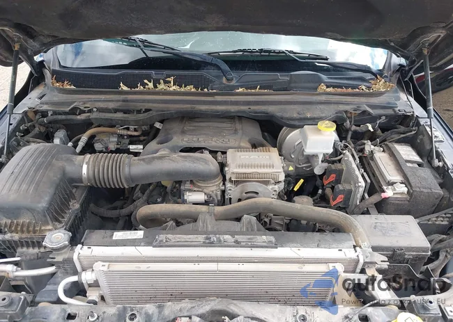 1C6SRFHT1MN509272: 43225762