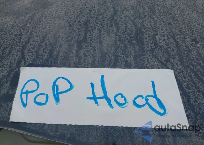 WBA8Z5C50FGS36769: 43227344