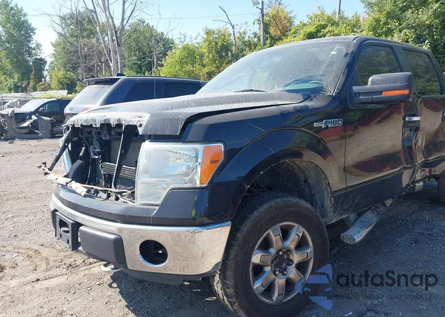 1FTFW1EF1DFB28973: 43227488