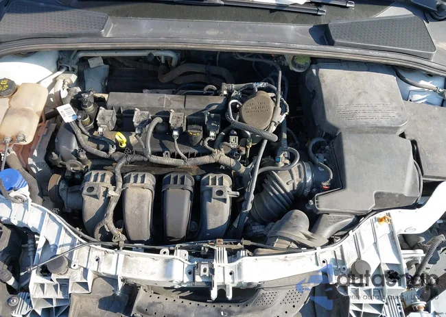 1FADP3K2XFL384475: 43227815