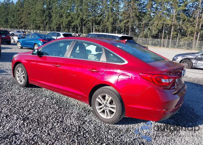 5NPE24AF6FH049239: 43229151