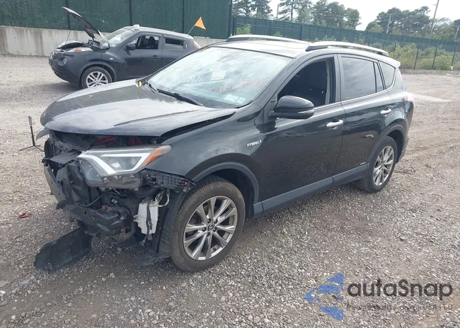 JTMDJREV2GD033804: 43229935