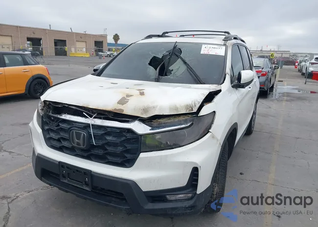 5FNYF7H59NB002610: 43230037