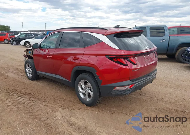 5NMJBCDE6RH409901: 43229524