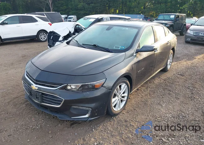 1G1ZD5ST5JF184097: 43231269