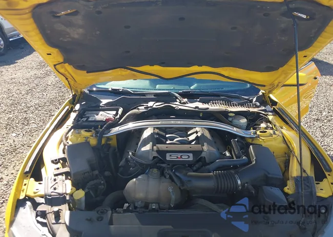 1FA6P8CF4F5311906: 43231995