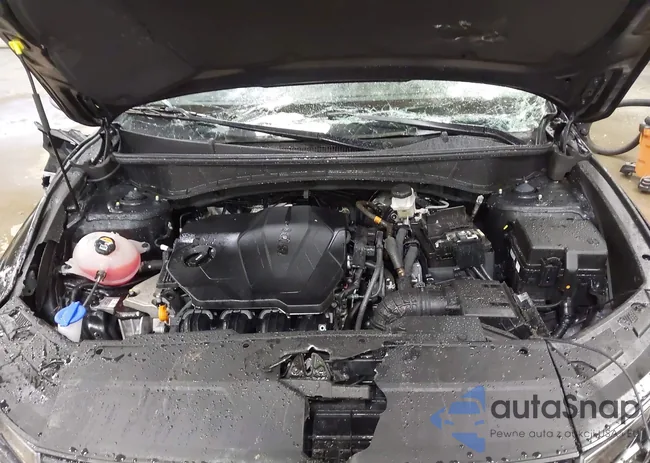 5NMJACAE3PH167816: 43232274