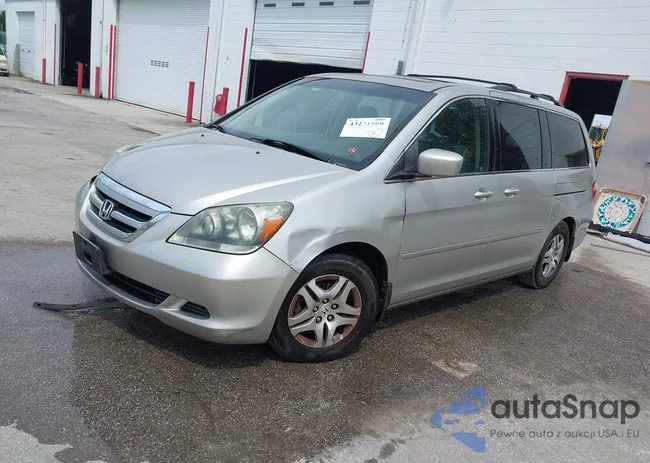 5FNRL38677B429981: 43231509