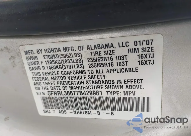 5FNRL38677B429981: 43231509