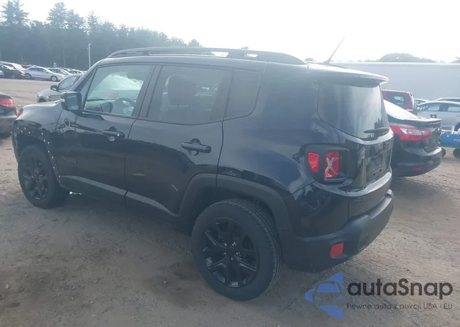 ZACCJBBT1GPD21613: 43233113