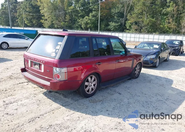 SALME15446A215056: 43233398